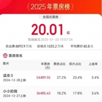 2025年度电影票房破20亿