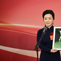 点亮夜游 非遗出海 数字龙门！三位人大代表为河南文旅建言献策