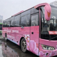 手机报·早报丨减重药将步入“白菜价”时代?因雨雪，河南高速部分路段禁止所有车辆上站