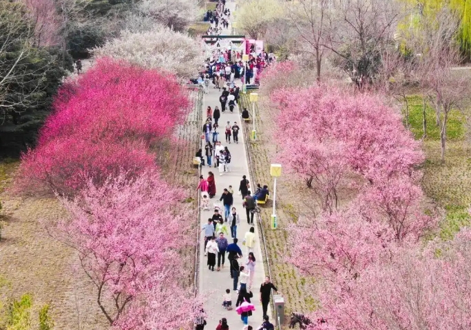微信截图_20250314003808.png