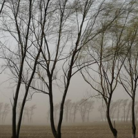 手机报·早报丨京东、盒马推“出口转内销”扶持计划；徐克获金像奖“终身成就奖”