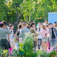 探寻主题乐园的年轻化密码 银基动物王国“超出片”美学实验来啦