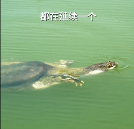 微信截图_20250427070733.png
