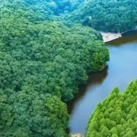 手机报·晚报丨景区试水“免费开放”，后续服务还得跟上；上海地铁遭起重机侵入事故原因公布