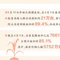 全省麦收基本结束