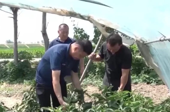 手机报·早报丨郑州地铁将调整部分线路行车间隔；死亡人员领高龄津贴 官方：已全部追回