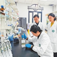 ​【两高四着力 中原谱新篇】教育 科技 人才=？（总编有约·“两高四着力”调研行）