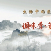 调味季丨苦之清