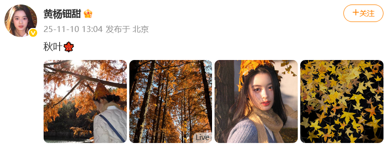 黄杨钿甜.png