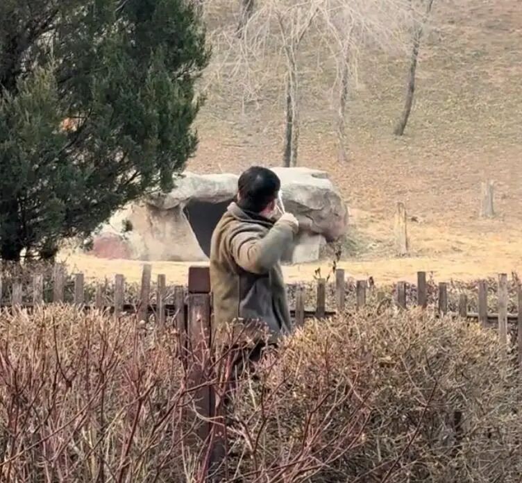 用弹弓射东北虎.jpg